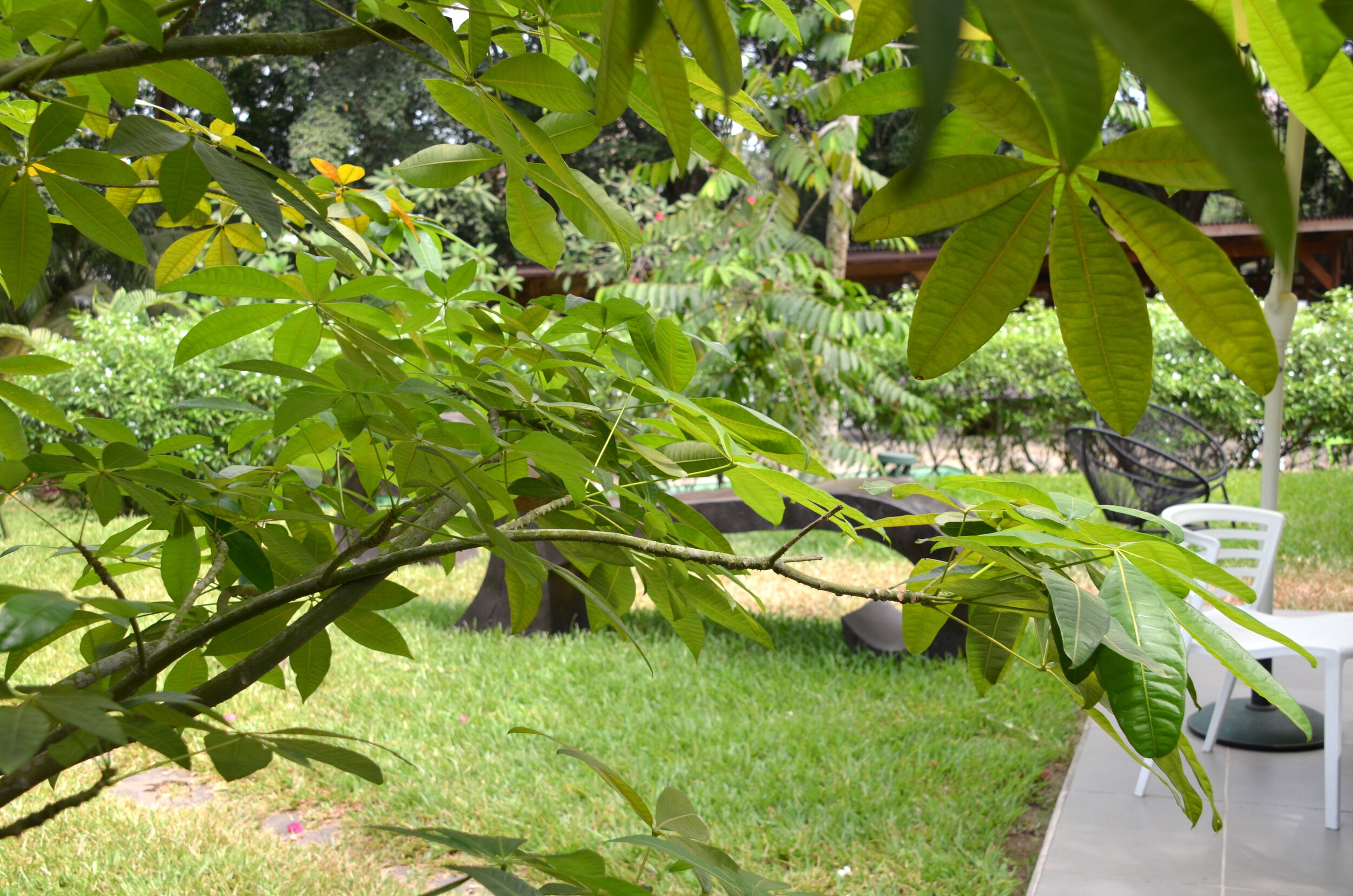 HOTEL PARTICULIER - Photo 3