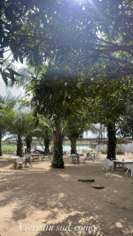 RESTAURANT O’CALM - Miniature 4