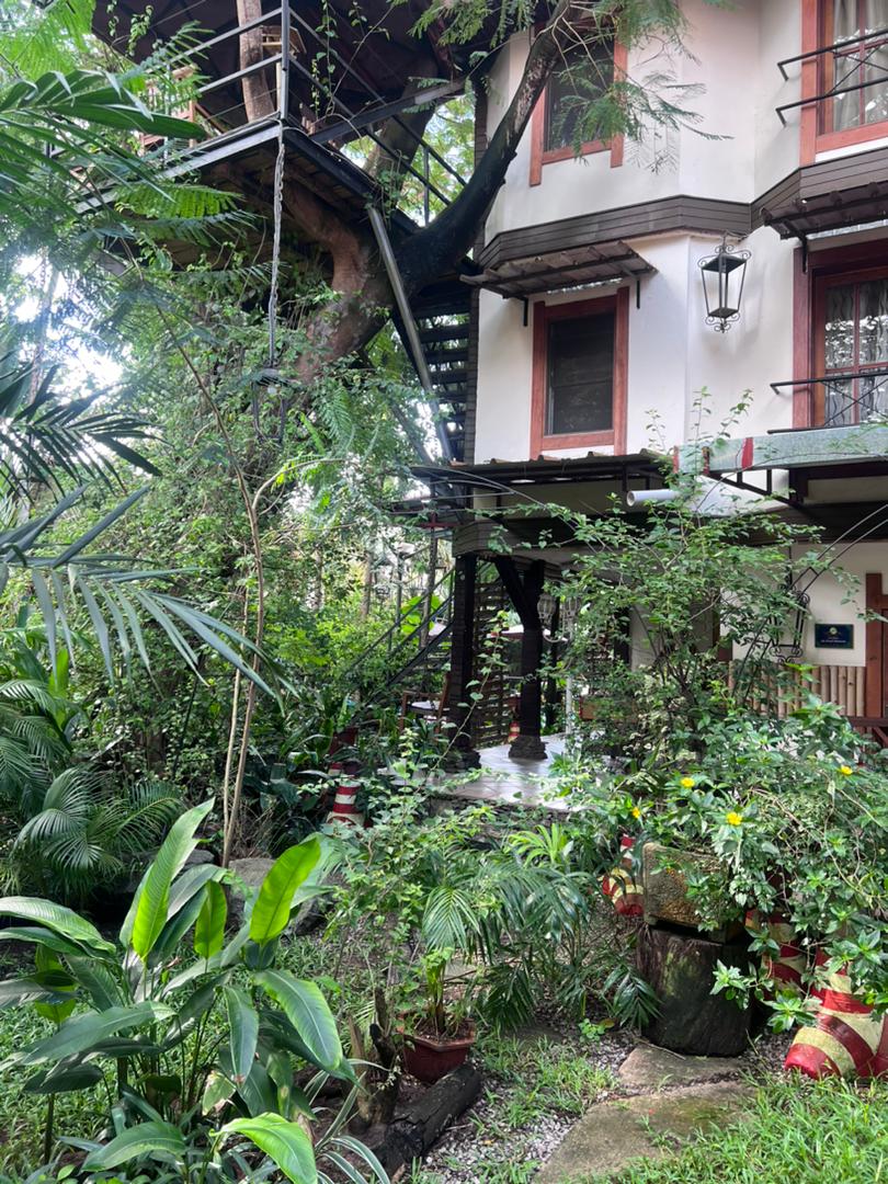 PAVILLON HP - Photo 9