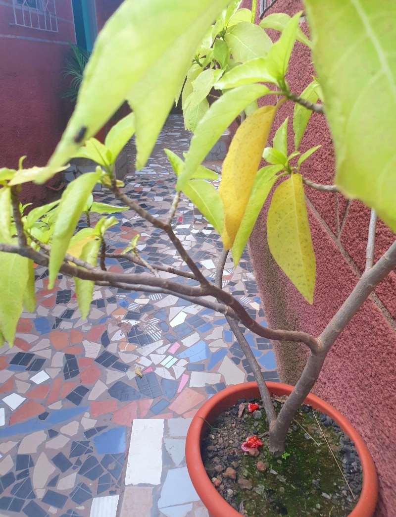 HOTEL KASSENE - Photo 3