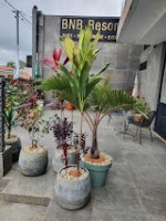 BNB HOTEL SPA - Miniature 7