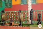 Hotep ivoire hotel - Miniature 7