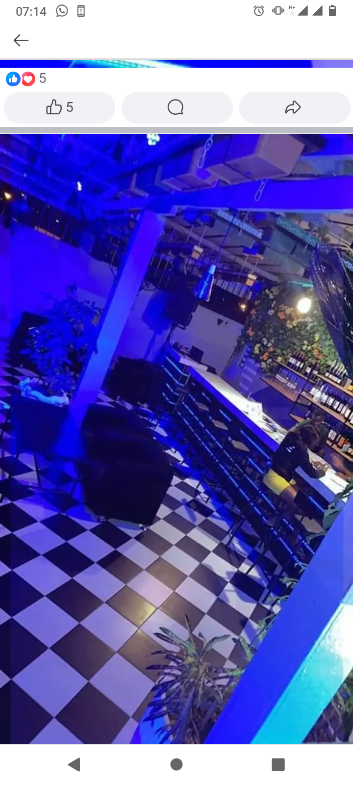 Restaurant 25/8 terrace - Photo 1