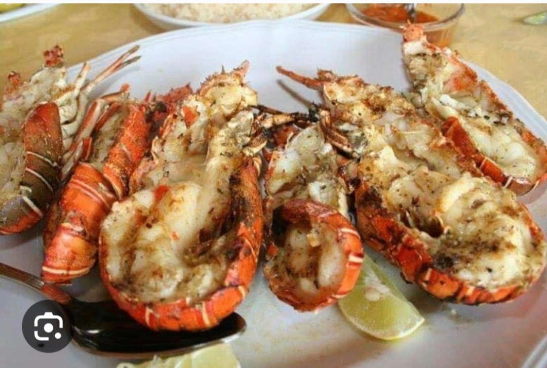 COLINE ALBA - Photo 1