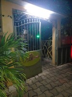 SOLE PLUS ANGRÉ - Miniature 2