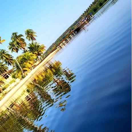 AUBERGE RESTAURANT CHEZ MARIO - Photo 8