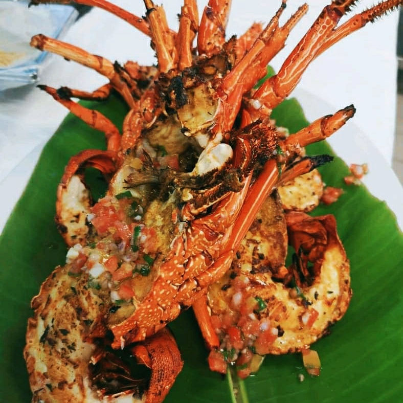 AUBERGE RESTAURANT CHEZ MARIO - Photo 3