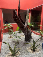 ROXY LOUNGE - Miniature 2