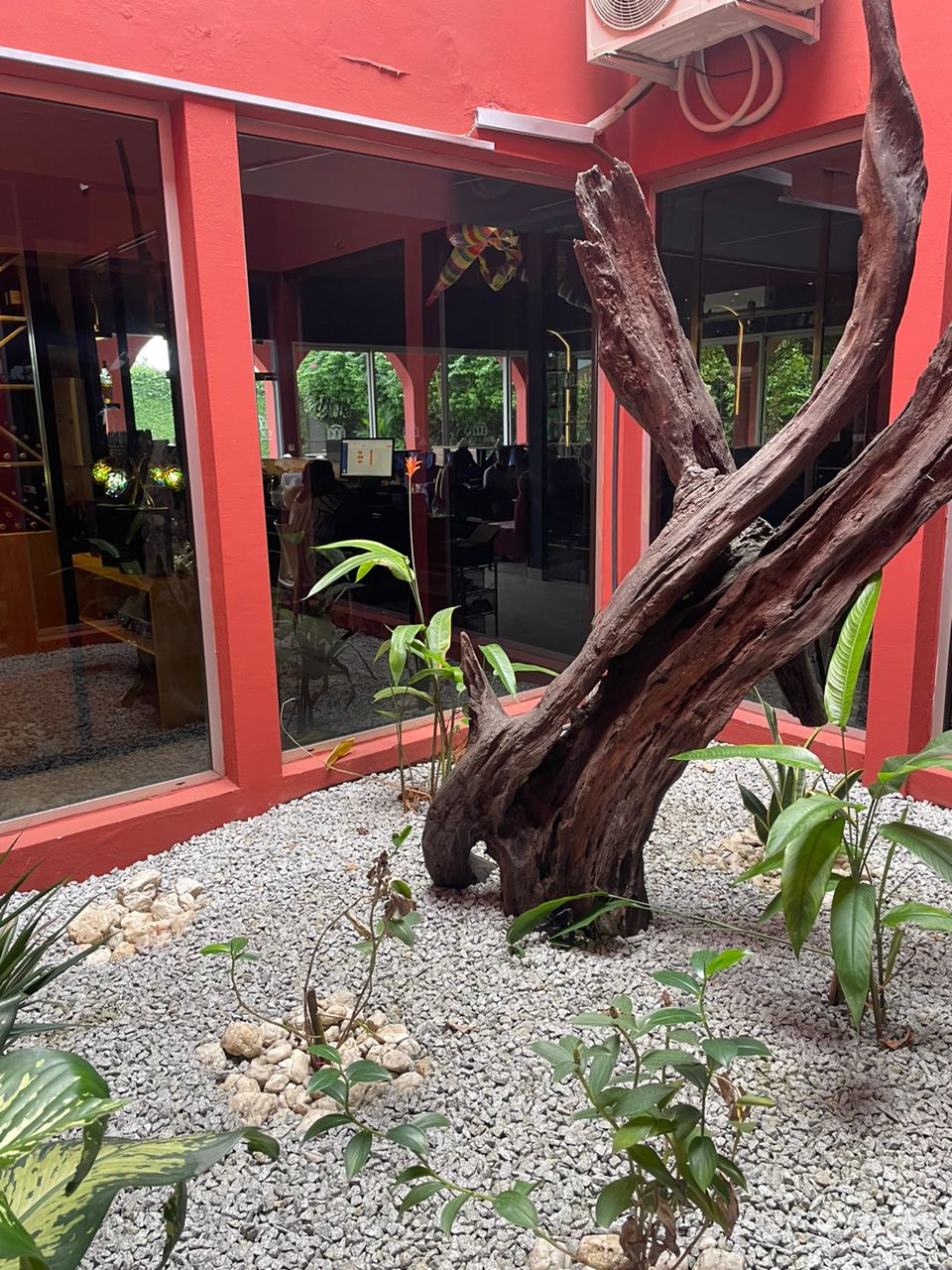 ROXY LOUNGE - Photo 7